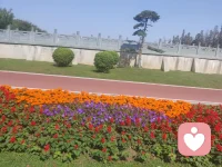 當(dāng)你懂了無(wú)常，?你的心，才會(huì)落在當(dāng)下，往昔與未來(lái)，只是當(dāng)下的影子！?配圖