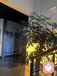 人性中存在著一種“心理防御機制”，即當面對挫折和困難時，會不自覺地采取防御措施來保護自己。配圖