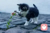 感情中的強者思維:
你不用向我道歉，這段關系的每一天都是我主動選擇留下，和你沒有關系。結局賭輸了，都是我作為成年人應該要背負的責任，我認。
不要把自己當弱者，就沒有矯情，沒有內耗，就能時時東山再起。
不只是感情，工作關系也是，合作關系也是，少埋怨他人，都是成年人自己的選擇配圖