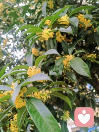 婚姻這座圍城，你若沒(méi)有為它添磚加瓦的能力，你就沒(méi)有話語(yǔ)權(quán)，就只能委屈求全！
女人的人間清醒是：先謀生，再謀愛(ài)????配圖