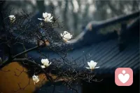 成長是女人最好的護膚品，你不必成為多么成功的一個人，但有必要把自我寄托于一件能夠每天進步一點點的事情上，每天向更好的自己又近了一步。
這種感覺無比美妙，它會讓你向陽而生，照亮生活的陰影。配圖