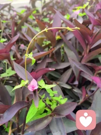 當你覺得自己經(jīng)歷了太多磨難時，請記住偉大的人物才配有經(jīng)歷！加油！配圖