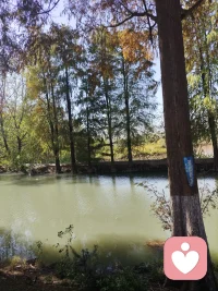 每個人都想要愛，但我們固執地以自己的方式去理解愛，固執地以自己的方式接收愛，希望對方以我們認可的方式來給出愛……我們人為地為接收愛創造各種障礙，讓愛的能量流動變得充滿坎坷，甚至不能抵達。然后我們將自己置于愛的荒漠中——將自己置于一個冰冷孤獨的世界。
?我們要學習的是去清理那些讓我們接收愛、讓愛的能量流順利抵達的障礙。配圖