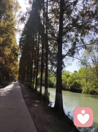 我過去發現，現在也仍然發現，和大多數人一樣，在自己內心有一種追求更高的或者說精神生活的本能，同時有另一種追求原始地位和野蠻生活的本能。這兩者我都尊重配圖