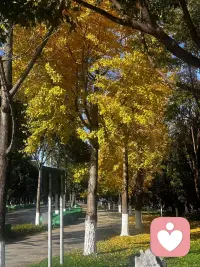 你面对一个已经出轨或者想要离开你的男人，与其痛哭，不如虐练自己的意志，
努力学习把控自己的情绪，成为一个让对方离不开的人。等到他觉得你依旧魅力非
常，觉得自己非你不可的时候，主动权就在你手中了.配图