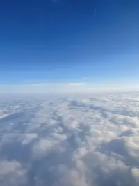 遵從自己的內(nèi)心意愿，從結(jié)果出發(fā)，想結(jié)什么果就種下那樣的種子配圖