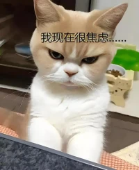 一部分焦慮與我們面臨的現實情境有關，行動是解決焦慮的好的辦法。然而很多情況下引起焦慮的內容是潛伏于心的，自己不能輕易接受的想法。然而我們抗拒的東西會一直存在，結果我們又投入大量的心理能量用到這種排斥上，不讓那些有威脅性的想法或情感浮出水面進入我們的意識。因此在很多情況下，我們感受到焦慮，卻不知我們為何焦慮。配圖