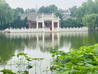 每一次跌倒，都是成長的墊腳石；每一次挫折，都是通往成功的橋梁。保持穩定的情緒，用堅定的信念，迎接每一個挑戰。相信自己，你一定可以的！配圖