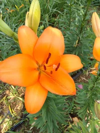 生而悅己，而非困于他人
不必苛求，靈魂本就是朵難養(yǎng)的花。配圖