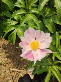 給時間時間
讓過去過去，
讓開始開始