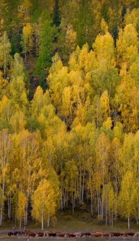 親密關(guān)系呢，是彼此陪著彼此，還是你背著對(duì)方，或者對(duì)方背著你？配圖