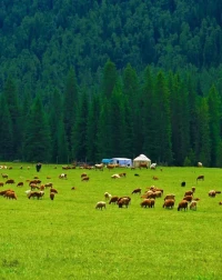 只有經歷過地獄般的折磨，才能創造天堂般的奇跡配圖