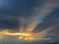 清晨的陽光照亮新的一天，愿你的一天充滿活力與靈感。用微笑開啟新的一天，以積極的態度面對每一項挑戰。早安！??配圖