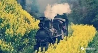 人生就是一場旅行，在這趟旅行的列車會有不一樣的人上車或下車，最后將在終點站相會。在旅行的路上請多看看沿途的風景，感受當下的美好。路途中請善待身邊的每一個人，那樣的前行才不孤單。配圖