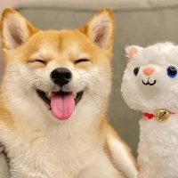 充滿激情的人很多
真正熱愛的不多
?
但，?你內(nèi)心肯定有著某種火焰
能把你和其他人區(qū)別開來????配圖