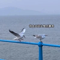 伴著昨夜大雨
?六月離去的瀟灑不粘連
?
?嗯嗯，就是這樣
?不念過去，不畏將來
?七月??持續美好配圖