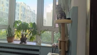 小暑，讓夏天步入盛年
?
?但你可以用生命力打敗暑氣配圖
