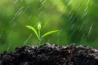 如果有人抑郁了，
說明他活在過去；
如果有人焦慮了，
說明他活在未來；
如果有人平靜了，
才說明她活在現在。配圖