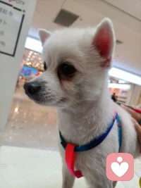 事情，是第一次做的；
?心情，是絕無僅有的；
生命，是不分種群的；
?感悟，是獨一無二的。配圖