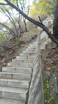 以天为局,众生亦棋,朝饮清露,暮卧松林,一曲红尘半阙曲配图