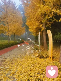 你的理由可以服你的頭腦
但感受
可以觸及你的靈魂
?
———榮格
愿你的大腦與靈魂齊飛
?配圖