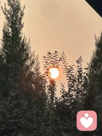 內心澄明
即是大乘之法
我心光明
既已發(fā)生皆利于我

相信、隨行、感恩的心
戒除心頭的惡
順勢而為即可
自然地接納一切得失

正心正念的覺察行事
如是、
更安心、更智慧、更通達配圖