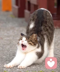 馬丹，一個多小時以前，明明想的是：
我就只再躺5分鐘啊！
?
?一睜眼，一個多小時過去啦，啦啦啦[捂臉]

?不過，想著剛才的夢，美美滴
?被子松松軟軟，貼著肌膚，暖暖的
?伸個懶腰，哇，爽！
?
?怎么舍得去再責怪自己，你怎么沒起來哇！
?所以，開啟擁抱太陽的一天吧[呲牙]配圖