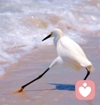 我們急著趕路，想要更厲害更超脫，想要更快達到終點
也許，當下就是意義。
就是這個過程，每一個向著目標前進著的當下。都是意義本身。

一顆順其自然的平常心，一個值得前行的大方向，一群結伴同行的良師益友。配圖