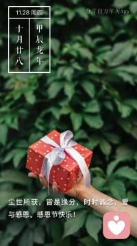 “完整的理解最終指向無意識的核心——欲望，同時又包含對恐懼和羞恥的理解。理解是對一個人存在方式的理解，存在方式是一個人在早年養育環境中互動的結果。理解也一定包含對過去的理解，從未涉及過去，很難明白當下的這個人?！迸鋱D