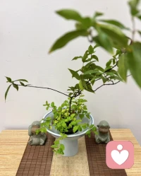 “我们评判前人的愚昧是一种事后诸葛亮，因为他们的做作所为一定是符合时代特色，是适应当时社会的。”

如果你实在不能理解某种决策，可以尝试着结合当下的社会时代和环境文化，所有的推翻，叛逆，愚昧可能都变得有迹可循了配图