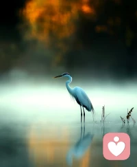 借力打力，我们站在别人成果的基础上，优化迭代，形成自己的东西。
这就是成长最快速的路径之一，但是这个过程需要学习，吸收，沉淀，总结。配图