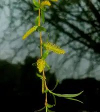生活永遠(yuǎn)不會(huì)停下腳步，去經(jīng)歷、去接觸新的事物，不僅能豐富你的人生，更能讓你變得更加開闊與充實(shí)。
有些人對(duì)新鮮事物心生畏懼，是因?yàn)閾?dān)心自己做不好。其實(shí)，你本就不需要事事做到完美。旅行、學(xué)習(xí)新技能、結(jié)識(shí)不同的人，都可以讓你的世界變得更加寬廣。
新鮮事物總是充滿挑戰(zhàn)和不確定性，但它們也帶來(lái)了無(wú)數(shù)的可能性。每一次嘗試，都是一個(gè)豐富人生的契機(jī)，它讓你走出舒適區(qū)，讓你真正認(rèn)識(shí)到自己的潛力和無(wú)限可能。配圖