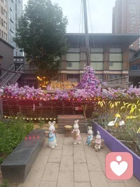 遗憾是常态，向阳而生，才是最好的反击…配图