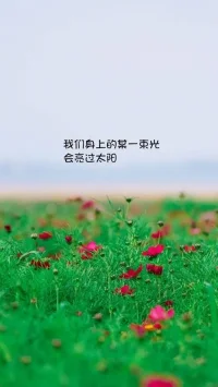一個人應該如何做好事情？
“去愛與工作”吧！
當你深入思考這個回答時，
你會發現更多。配圖
