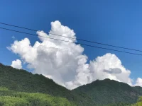 從后窗向外望。看到一團東西向樓這邊移動過來。它緩慢的移動，吞沒它所經過的一切。每當它靠近某件東西，比如一張椅子或一叢灌木時，它首先變成那個東西的樣子。配圖