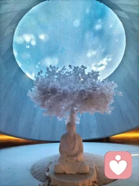 如果你不能感受到你的情緒，或是切斷了與情緒的聯系，那么你最終會在純生理這一層面體驗到它們，它們會以生理問題或疾病的形式出現。配圖