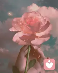 歡樂總是衍生于你之外的事物，而喜悅是由內(nèi)而生的。今天讓你歡樂的事情，明天可能會讓你痛苦，或者它將會離你而去，所以一旦失去它，你將會感到痛苦。配圖