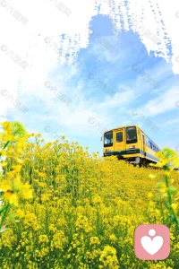 我無(wú)法保證事情一定會(huì)變好，但我可以承諾的是，我會(huì)對(duì)你傾注我全身心的關(guān)注。配圖