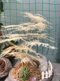 我們往往太想彰顯我，太難放下我配圖