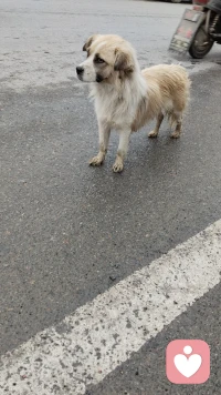 “你不愛我是因為你不需要我，我愛你是因為我需要你”配圖