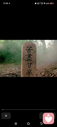 饑不擇食 
饑餓時亂吃東西，還不如不吃，，
寒不擇衣 
寒冷時衣服的大小也很重要，，
慌不擇路 
心慌意亂，先讓自己靜下來選路，
貧不擇妻
貧窮是就不要先處對象，先謀生，在謀愛，，配圖