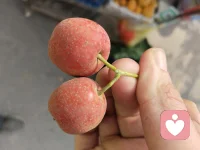 我自橫刀狂嘯天，只羨鴛鴦不羨仙！配圖