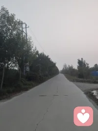 我愛故我在！配圖