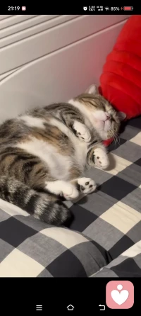 不要害怕犯錯失敗，那是成長的過程（路）配圖