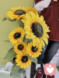 其實生活并不復雜
“不念過去
珍惜當下
計劃明天”
開心是楽（yao）
越來越好配圖