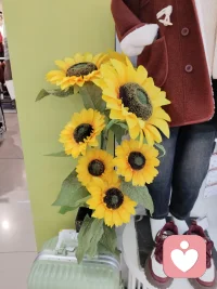 順序反了，再多的努力都是徒勞，
愛人先愛己，謀愛先謀生，，
你若盛開，蝴蝶??自來配圖