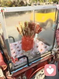 真實的、永恒的、最高級的快樂，
只能從三樣東西中取得：
工作、自我克制和愛。      
 —— 羅曼·羅蘭配圖