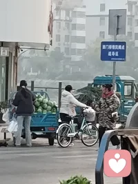 你給我自由因為你愛我，
我給你錢，因為我愛你，
我們都不要拒絕彼此好嗎？配圖