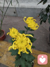 你連自己的情緒都控制不住，怪不得對象說你“癡情廢物”配圖