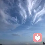 叽叽喳喳的头像
